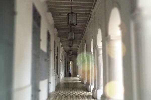 Peaceful morning walk.