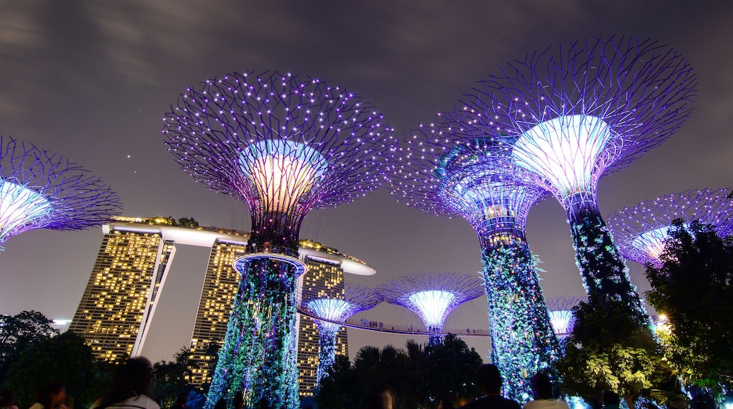 Supertree Grove at night in Singapore