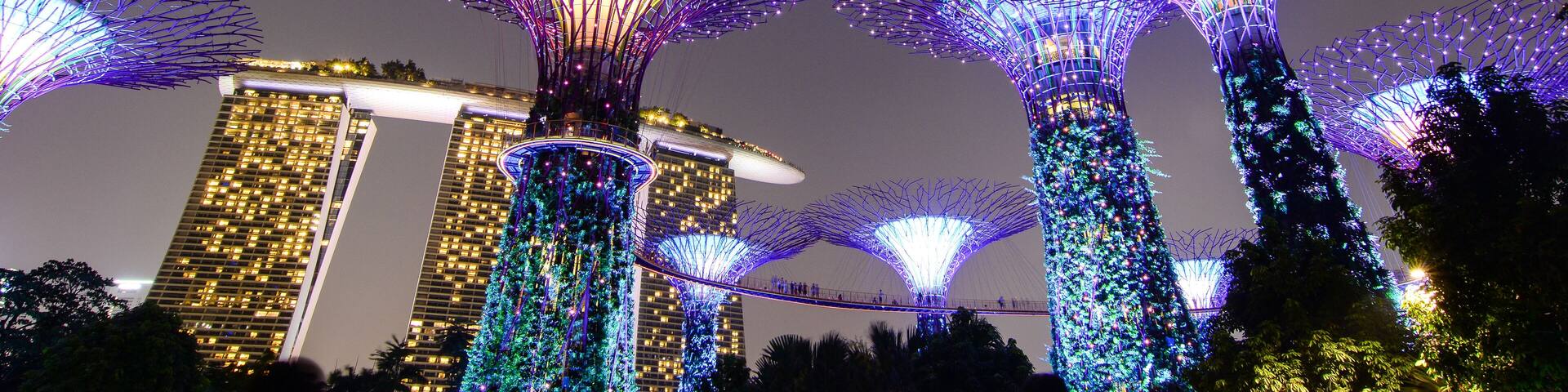 Supertree Grove at night in Singapore