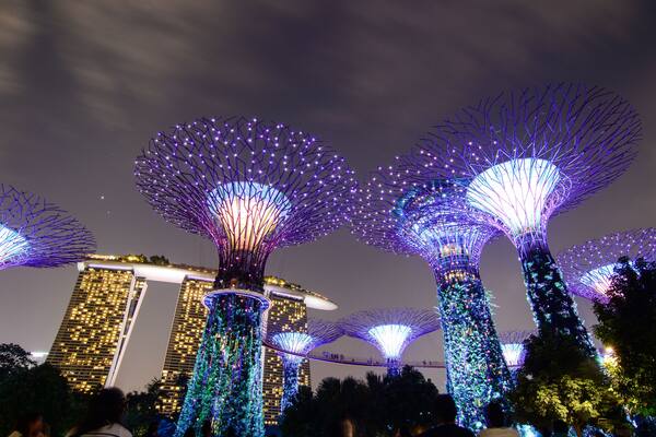 Supertree Grove at night in Singapore