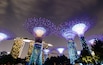 Supertree Grove at night in Singapore