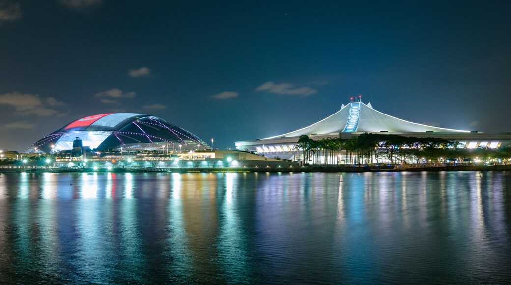 Singapore's new National Stadium