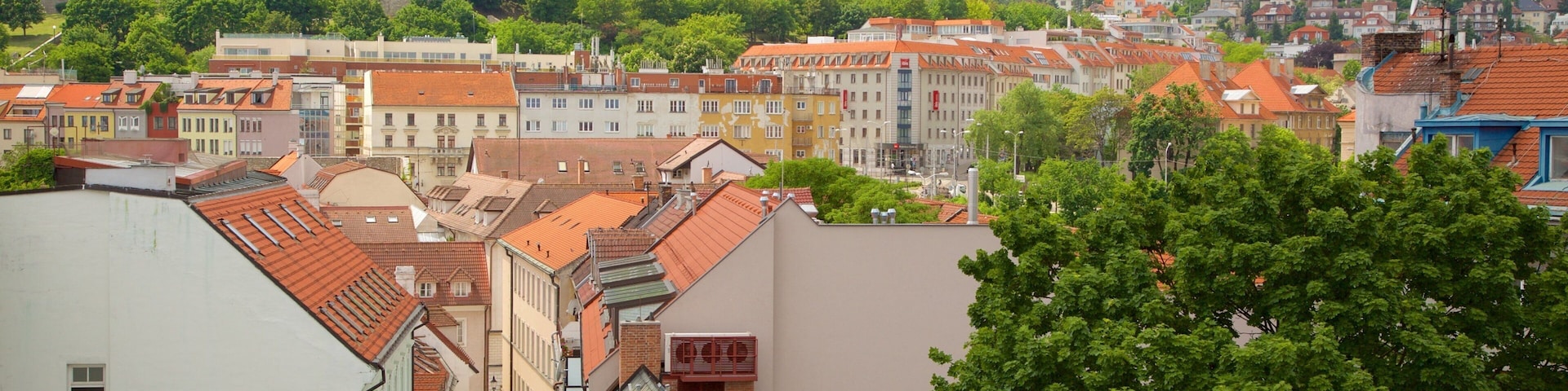 Bratislava Castle showing a city