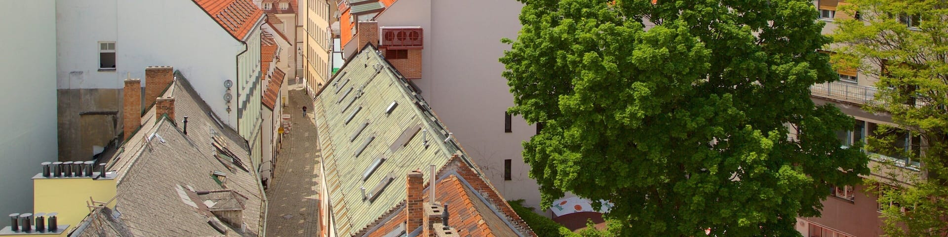 Bratislava Castle showing a city