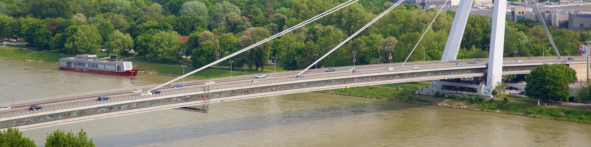 Bratislava Castle showing a river or creek, a city and a bridge