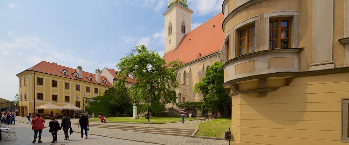St. Martin\'s Cathedral which includes street scenes and a church or cathedral