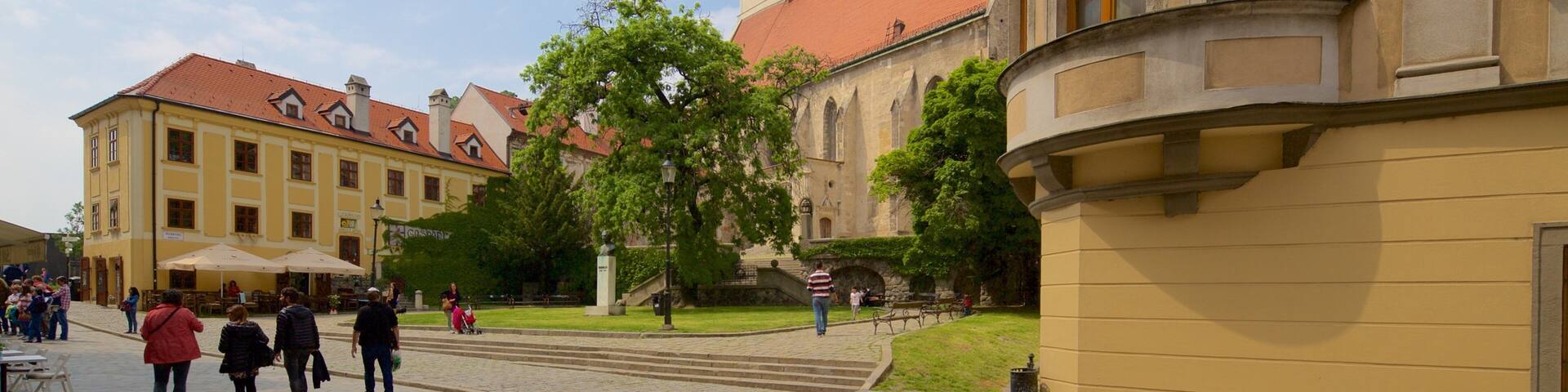 St. Martin\'s Cathedral featuring a church or cathedral and street scenes