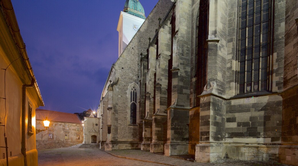 St. Martin\'s Cathedral showing night scenes, heritage architecture and a church or cathedral