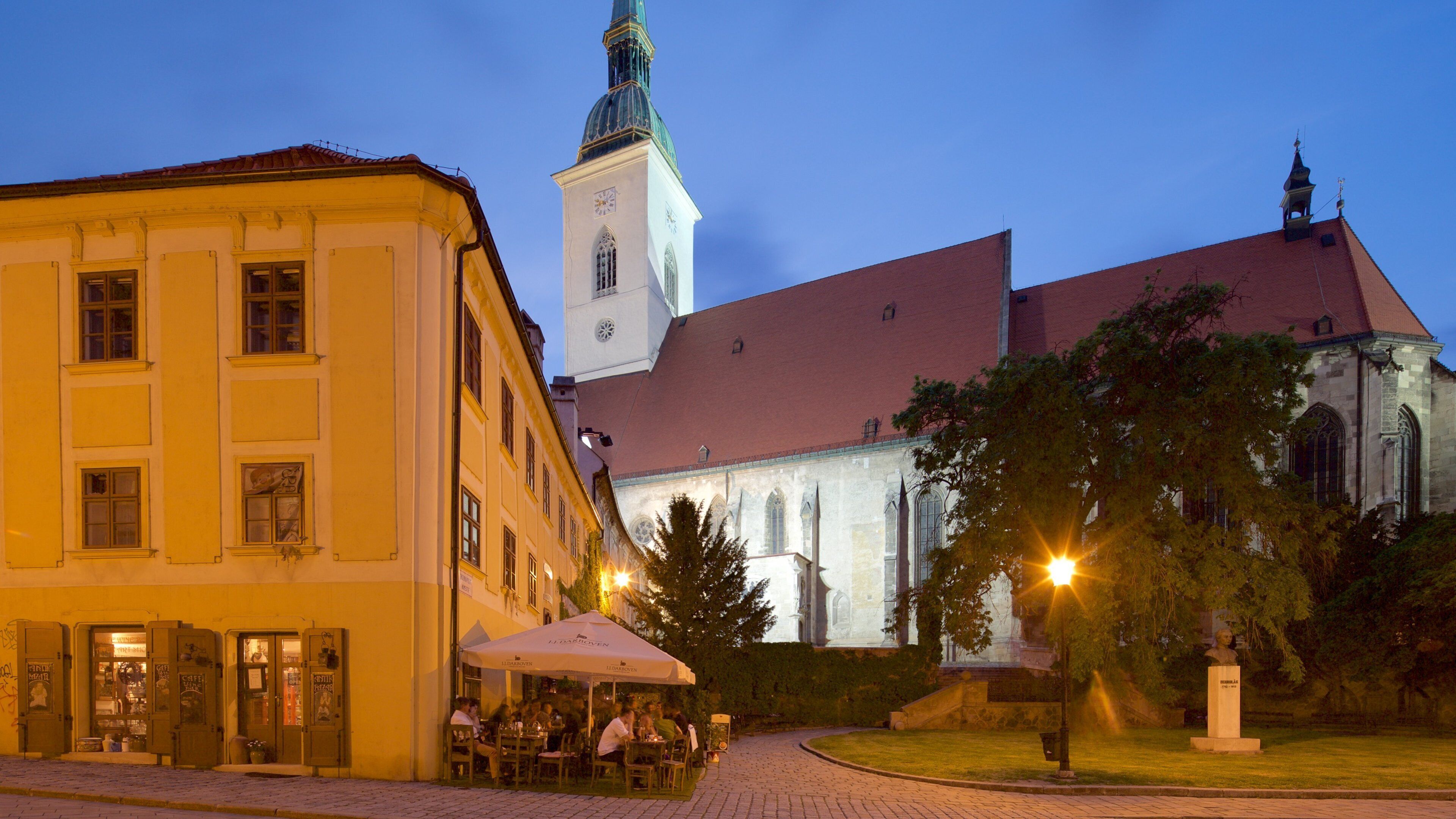 St. Martin\'s Cathedral featuring a city, a church or cathedral and night scenes