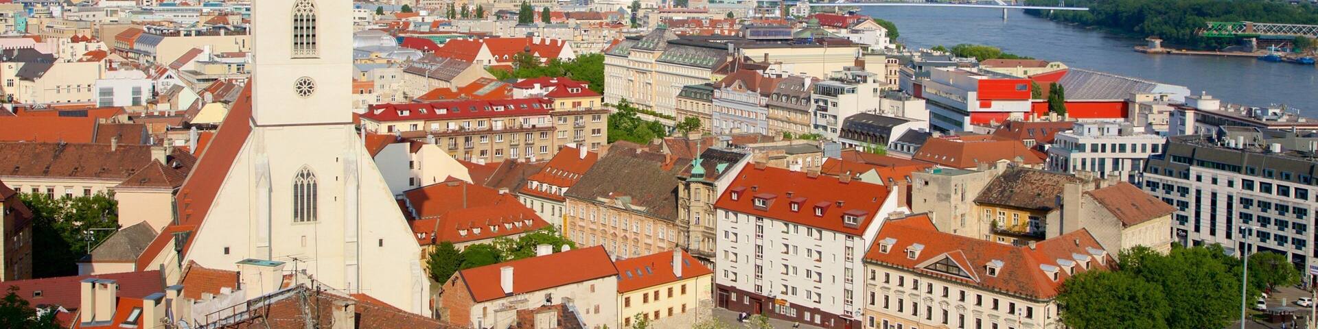 St. Martin\'s Cathedral showing a city and a church or cathedral