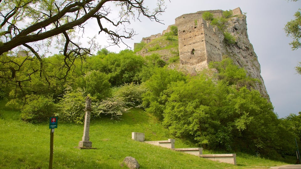 Devin Castle showing château or palace, building ruins and a garden