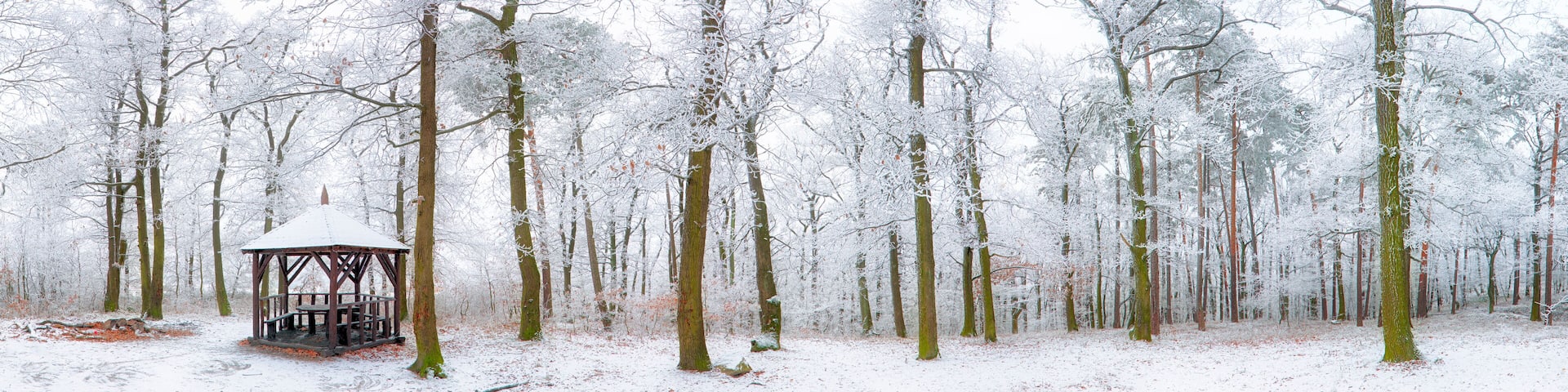 Winter landscape carpathian Slovakia, Bratislava