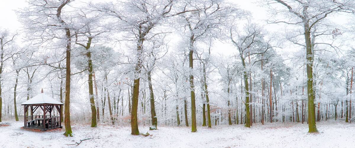 A snow-covered forest with a wooden gazebo.