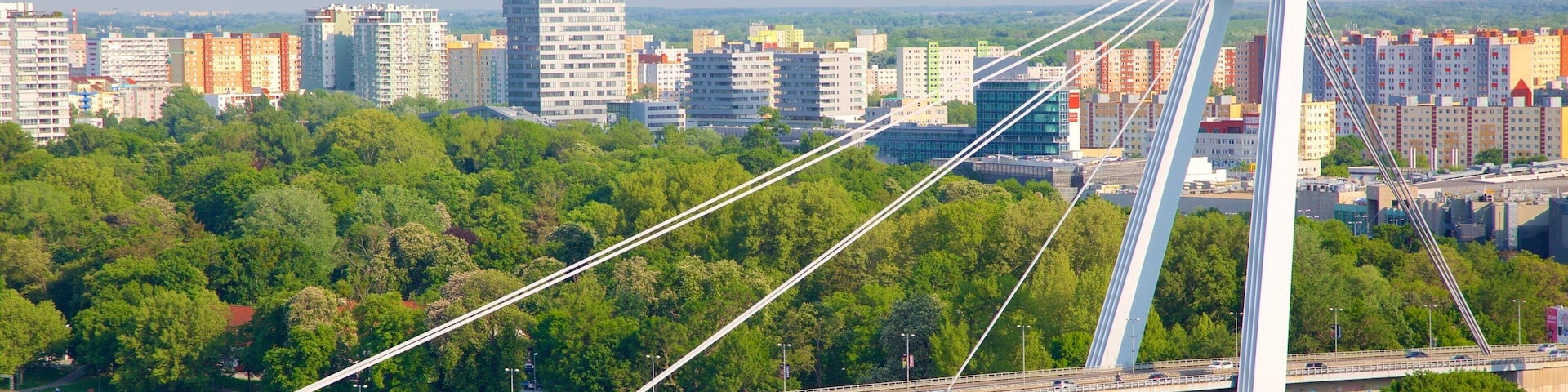 New Bridge showing a bridge, a city and modern architecture