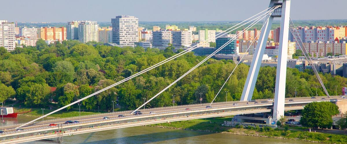 A cable-stayed bridge with a tower, surrounded by a cityscape and greenery.