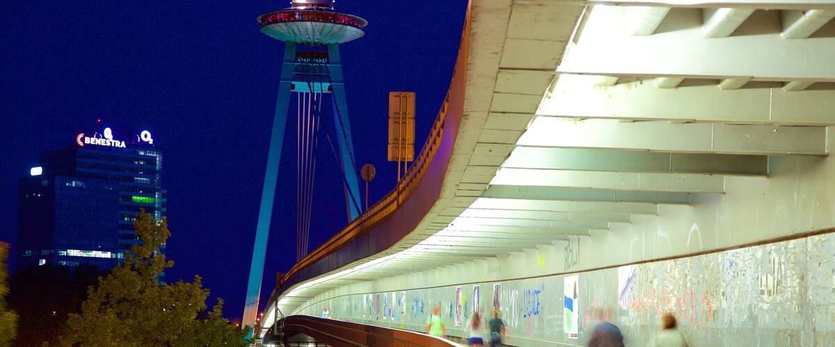 A curved bridge with graffiti, a river, and a tower in the background.
