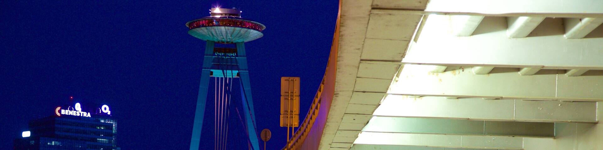 A curved bridge with graffiti, a river, and a tower in the background.
