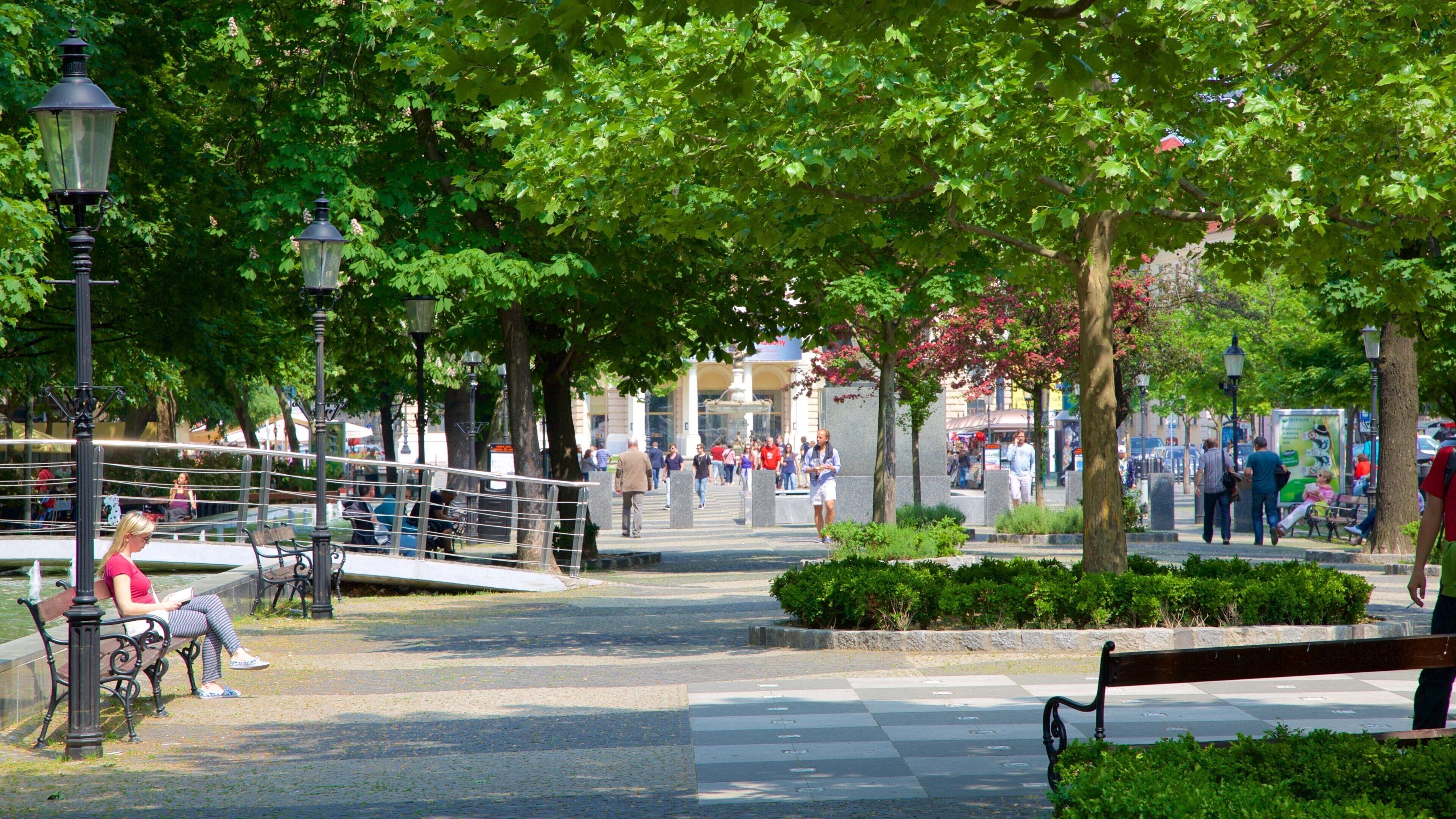 Hviezdoslavovo Square featuring a square or plaza and a park