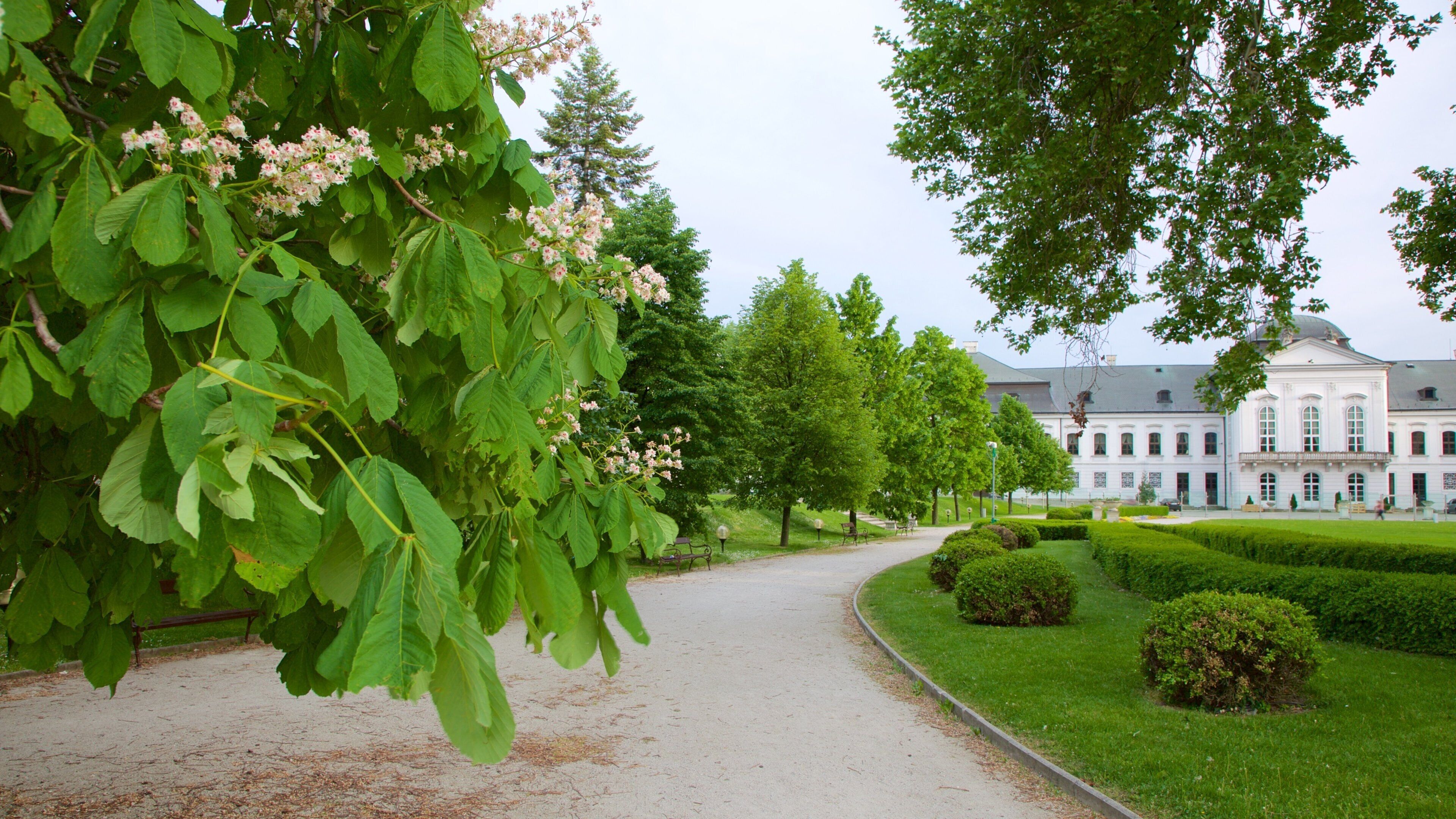 Palazzo presidenziale che include giardino, castello e edificio amministrativo