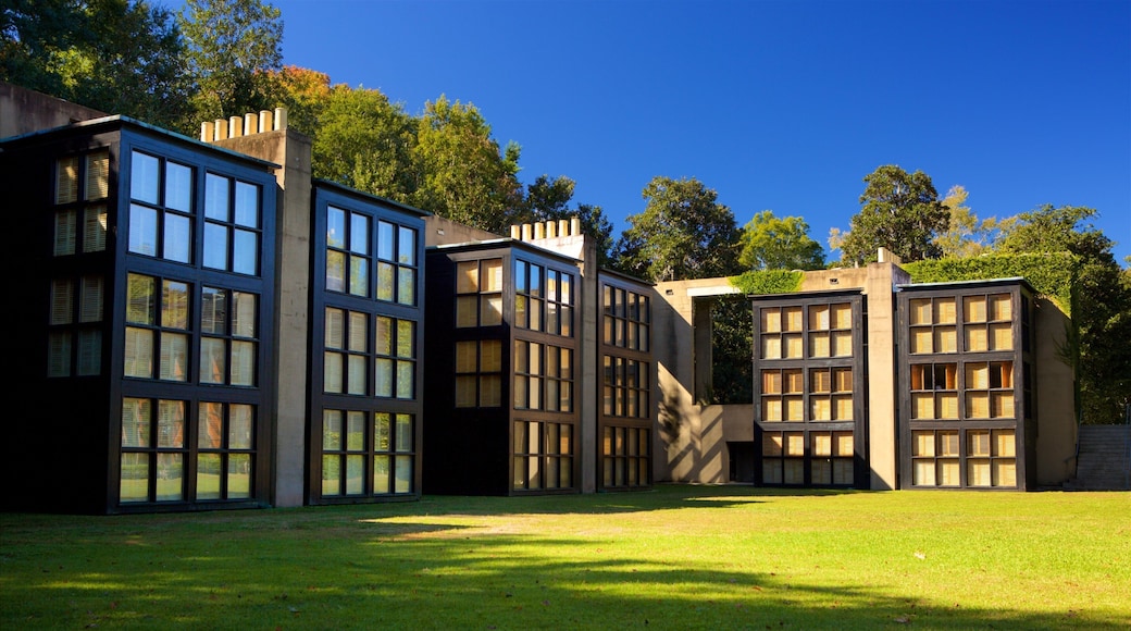 Middleton Place featuring a park