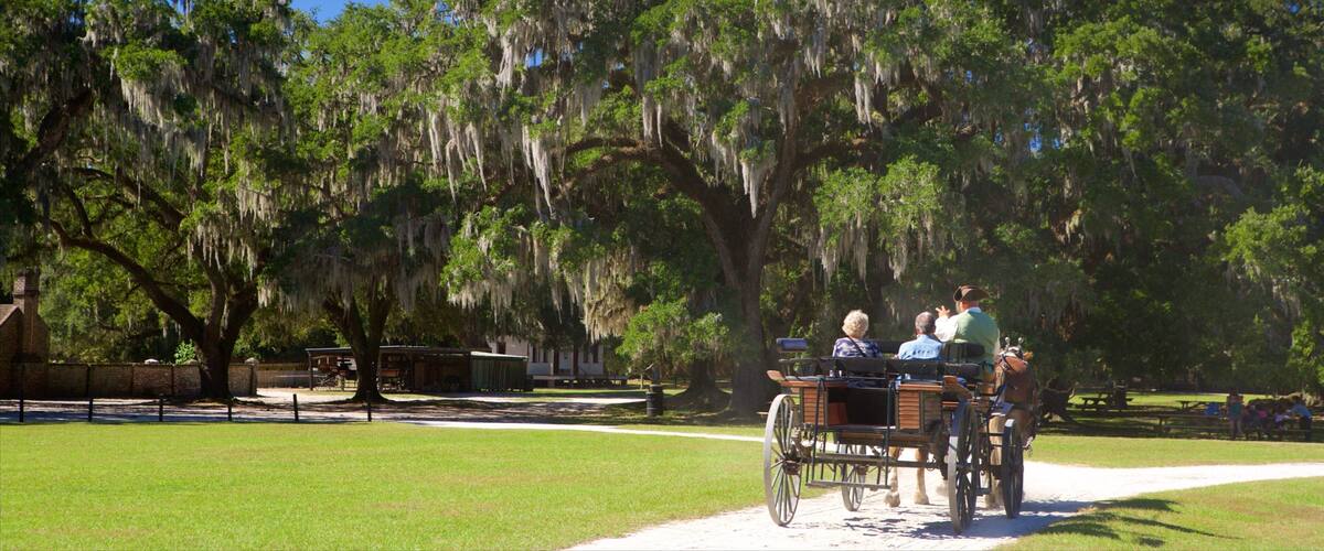 Middleton Place featuring a park and horseriding as well as a couple