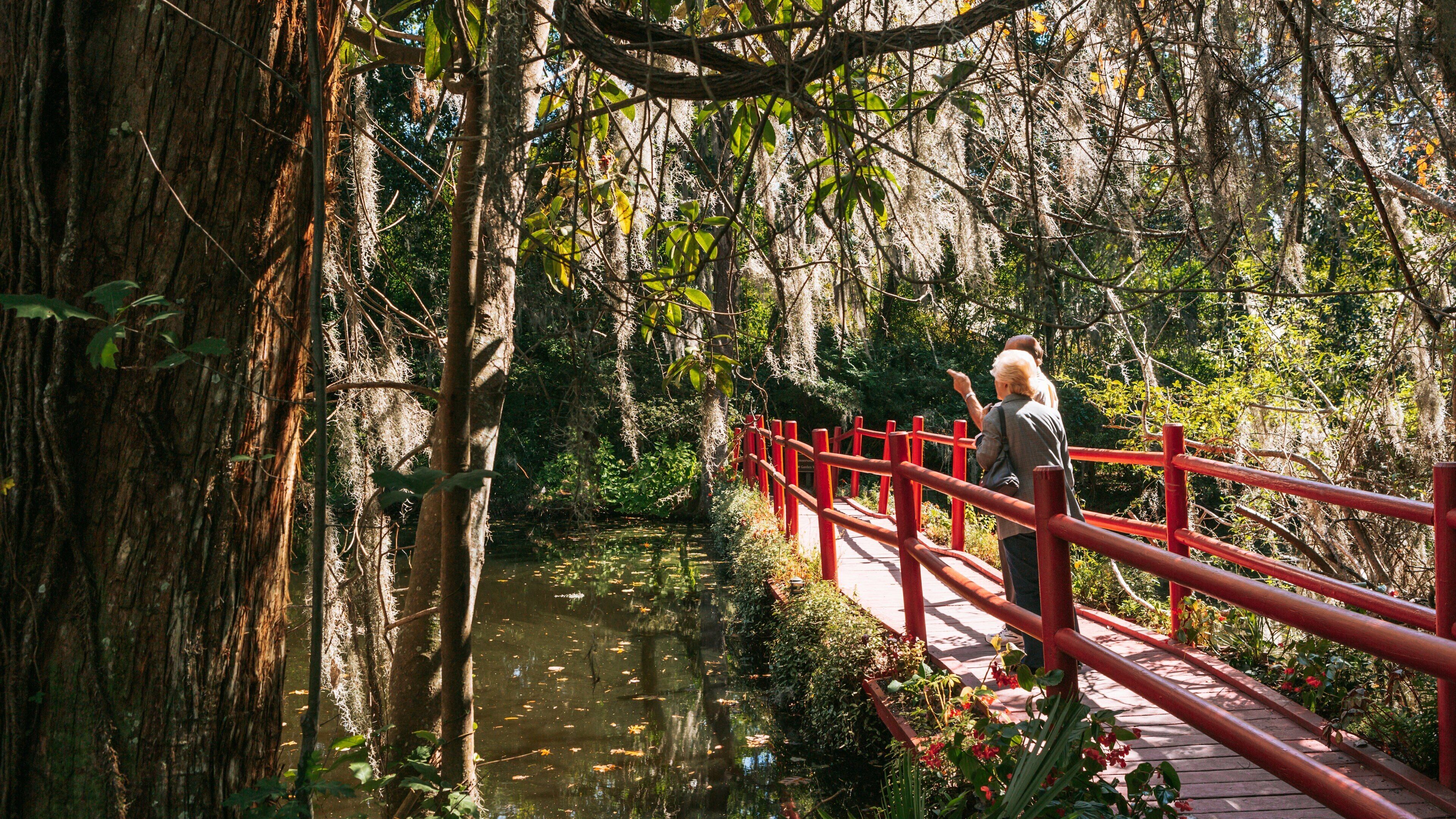 Magnolia Plantation and Gardens