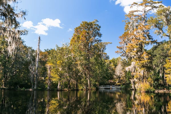 Magnolia Plantation and Gardens