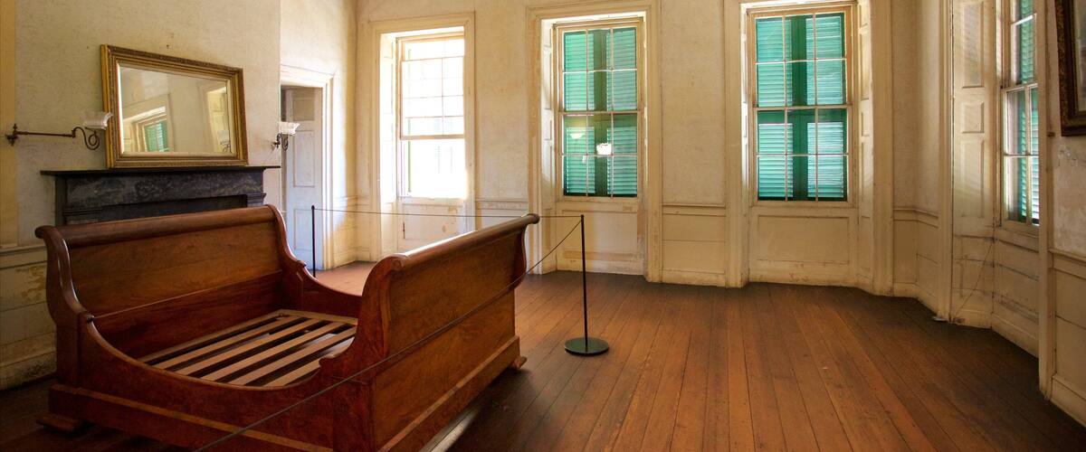 Aiken-Rhett House mit einem Innenansichten und Geschichtliches