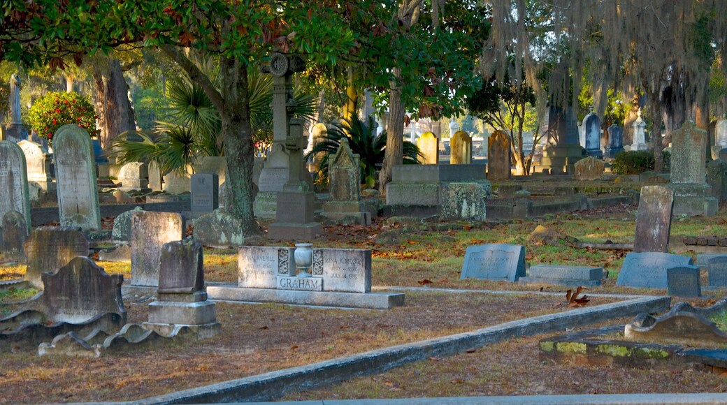 Magnolia Cemetery featuring a cemetery and a memorial