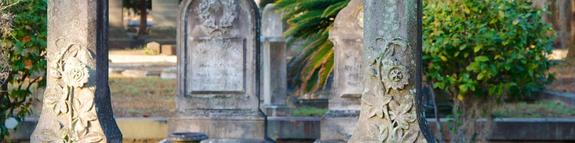 Magnolia Cemetery showing a monument and a cemetery