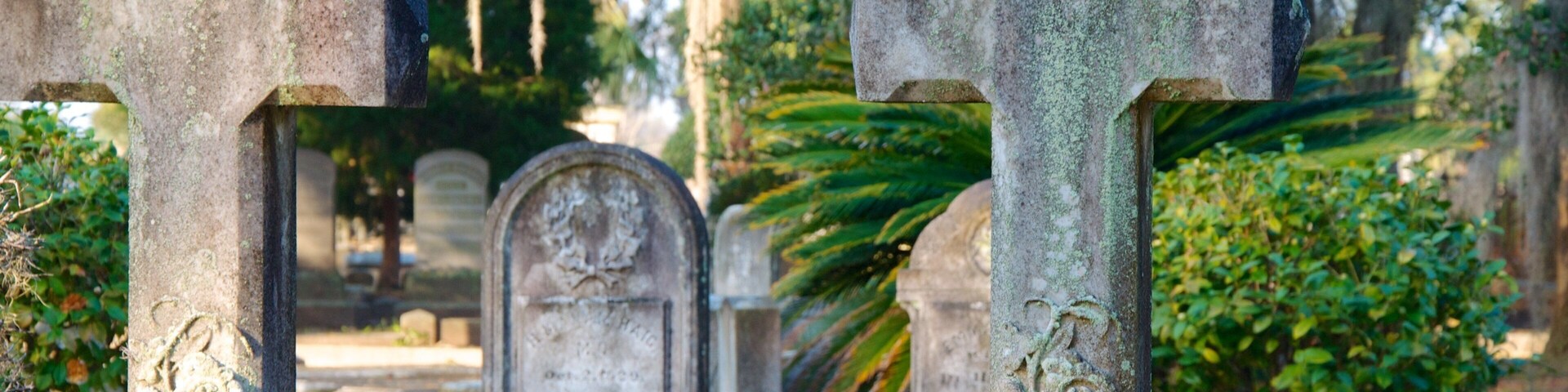 Magnolia Cemetery showing a monument and a cemetery