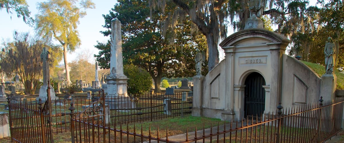 Magnolia Cemetery que incluye un cementerio y un monumento