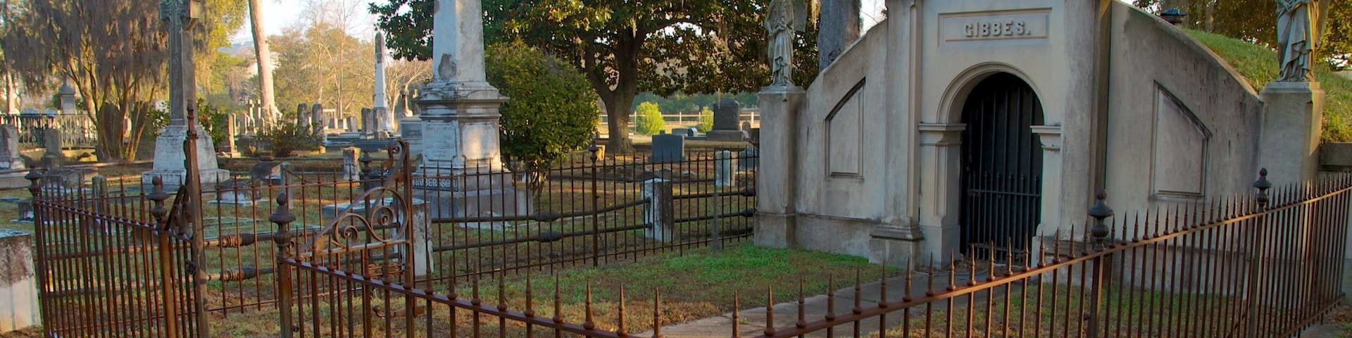 Magnolia Cemetery das einen Gedenkstätte und Friedhof