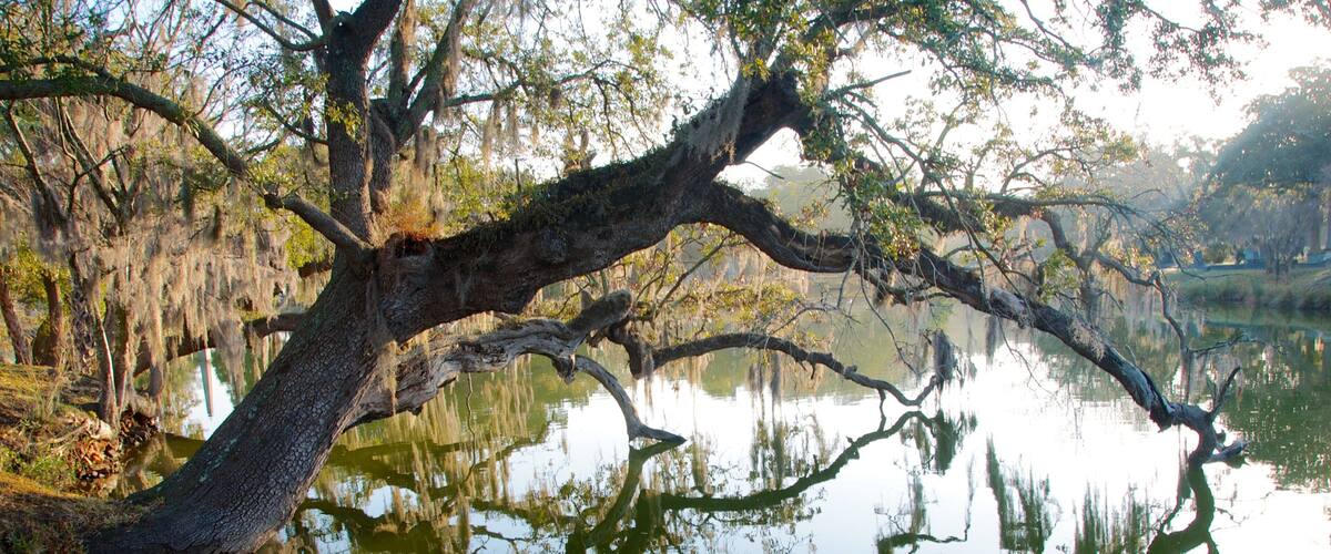 Magnolia Cemetery featuring a lake or waterhole and landscape views