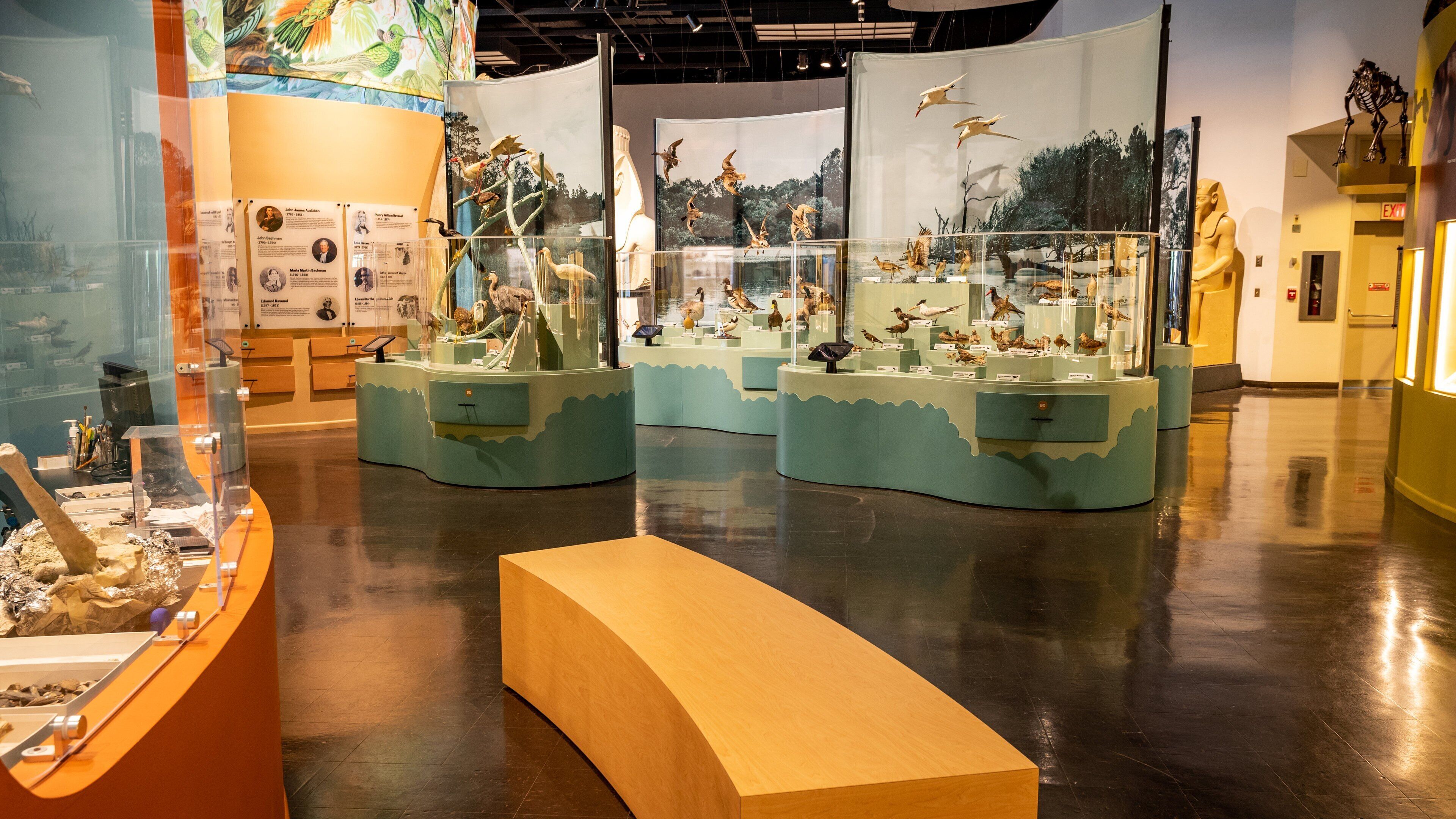 Charleston Museum which includes interior views