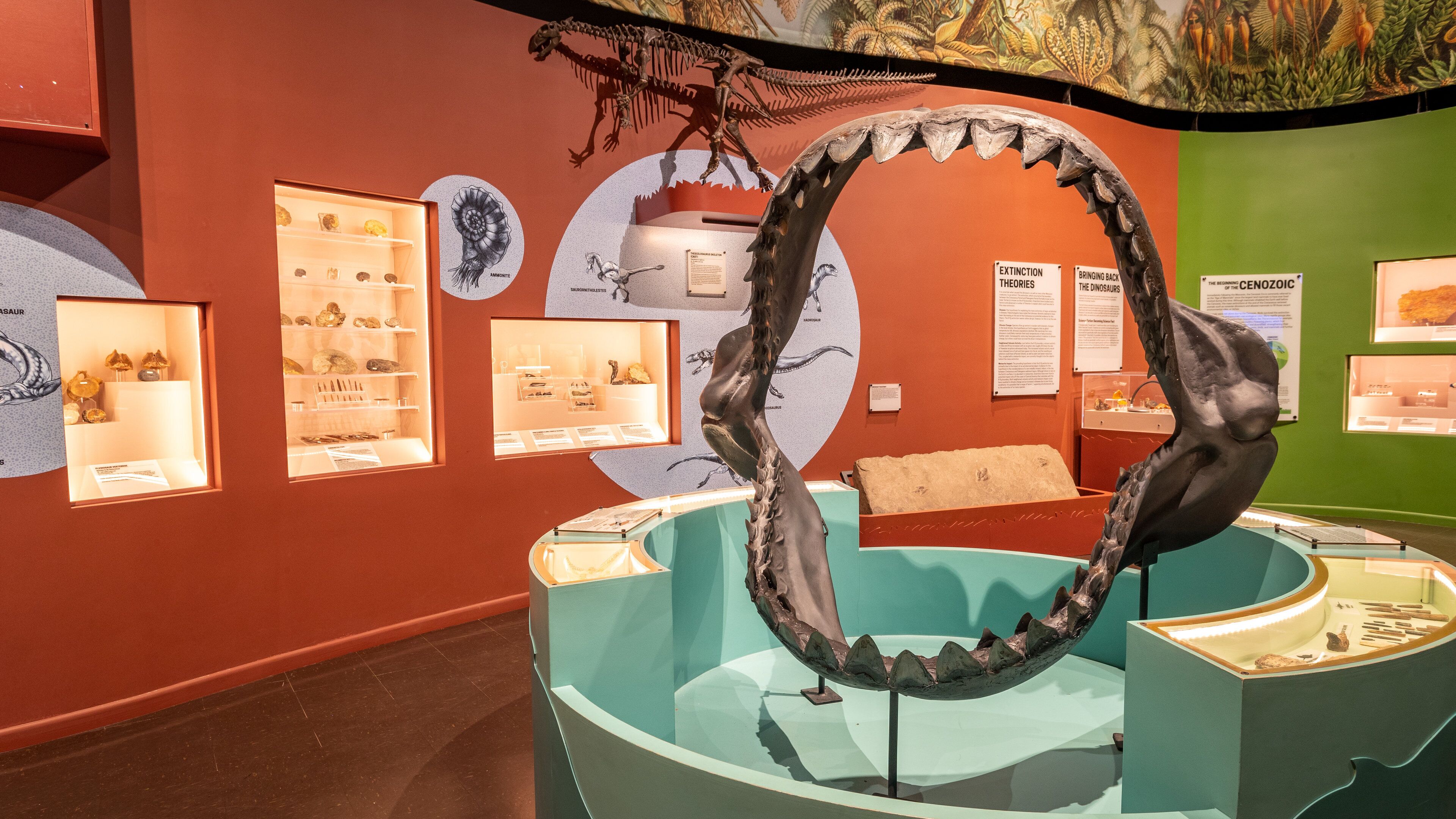 Charleston Museum showing heritage elements and interior views