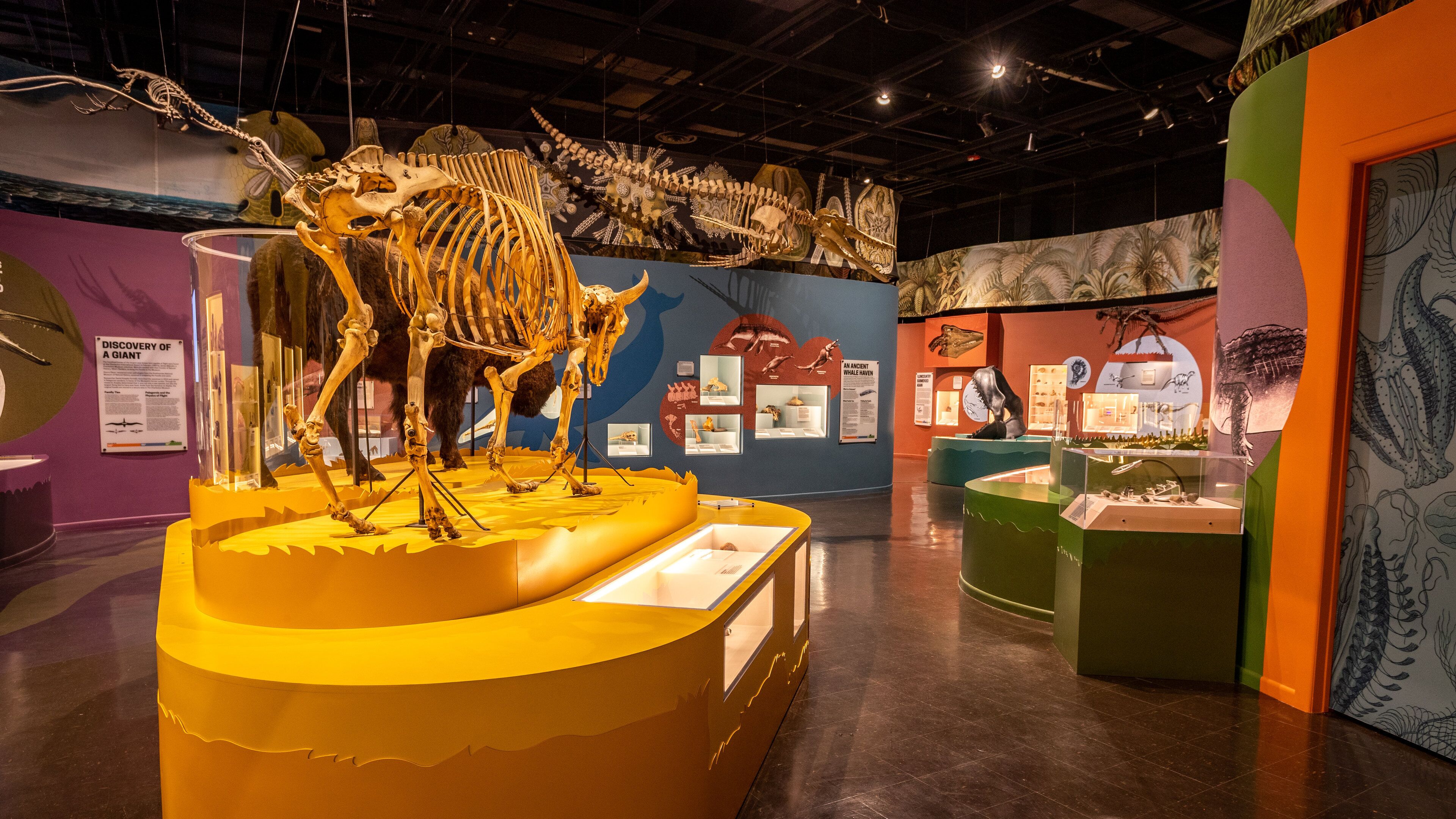 Charleston Museum featuring interior views and heritage elements