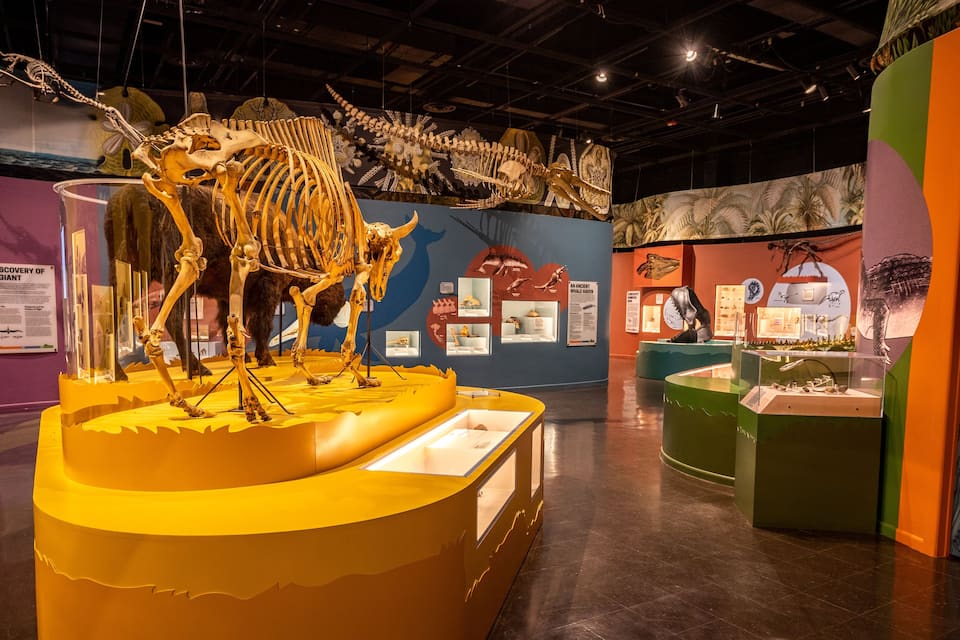 A museum exhibit with dinosaur skeletons and prehistoric artifacts.