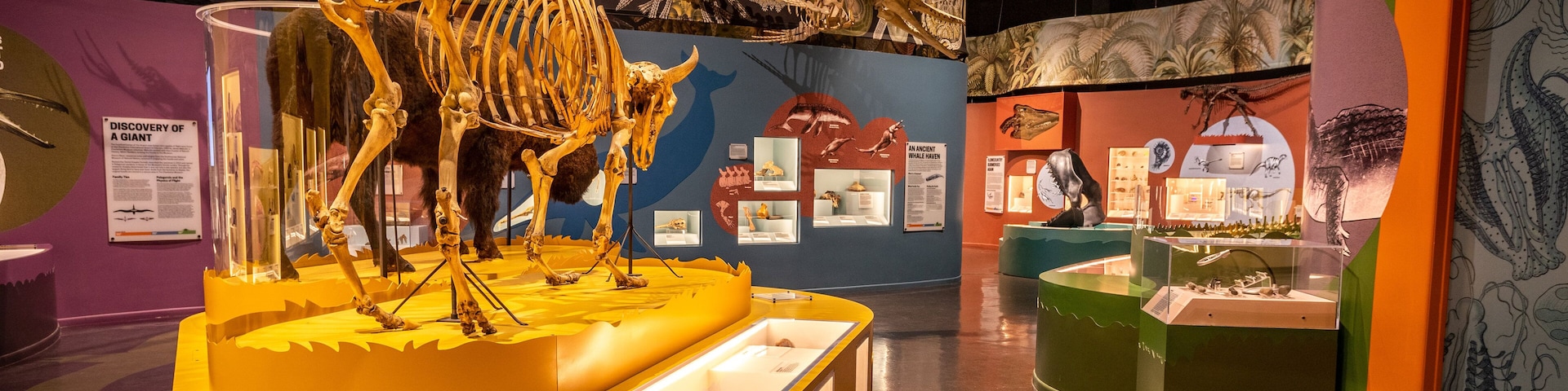 Charleston Museum featuring interior views and heritage elements