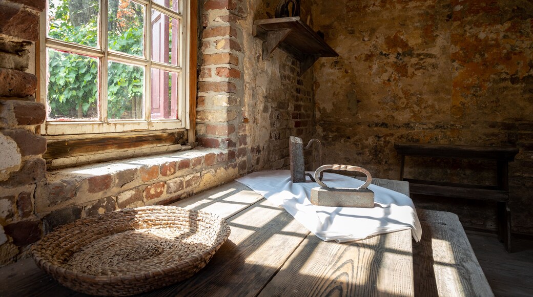 Heyward-Washington House which includes interior views and heritage elements