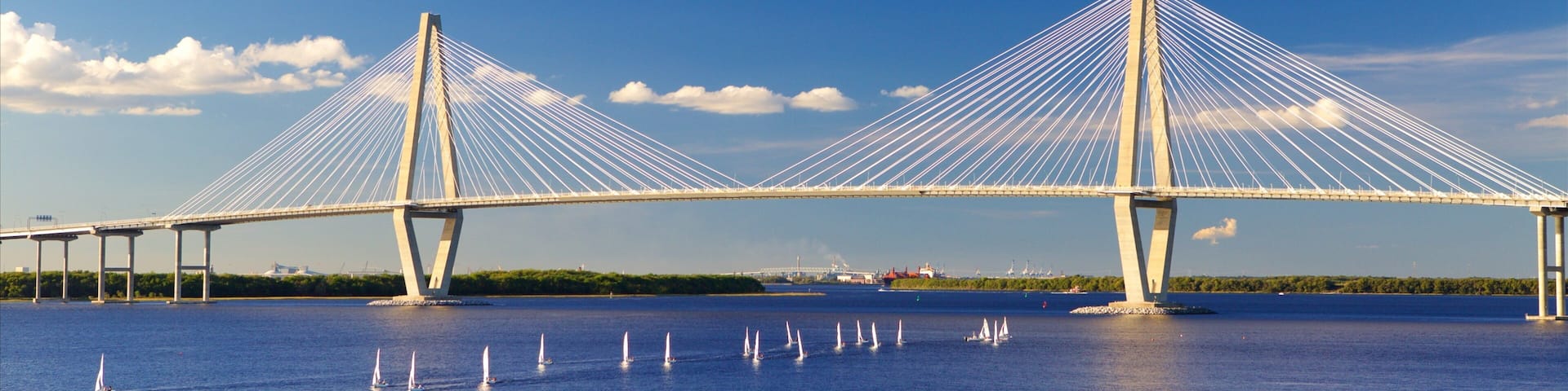 Arthur Ravenel Jr. Bridge
