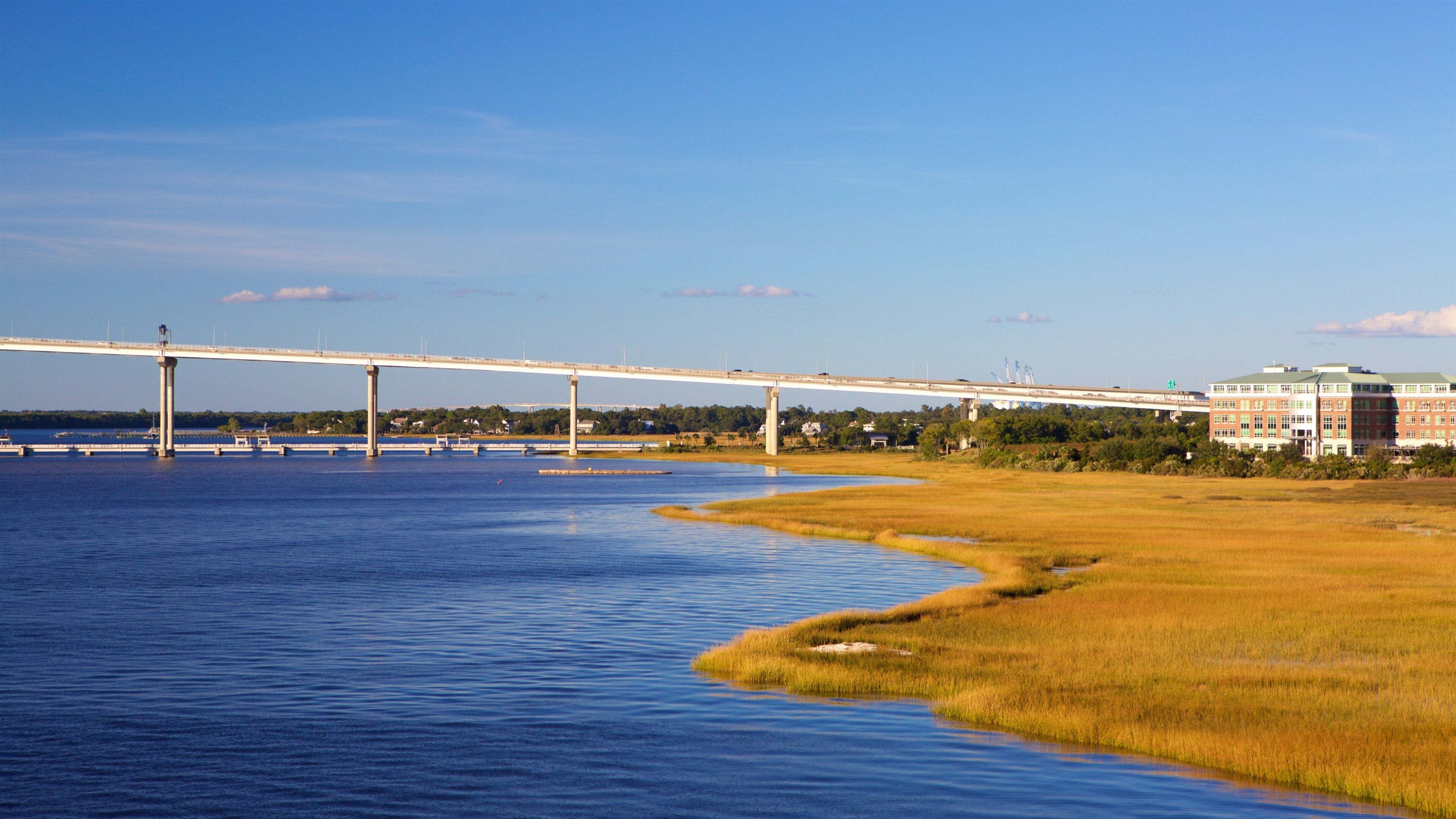 Arthur Ravenel Jr. Bridge which includes a river or creek and a bridge
