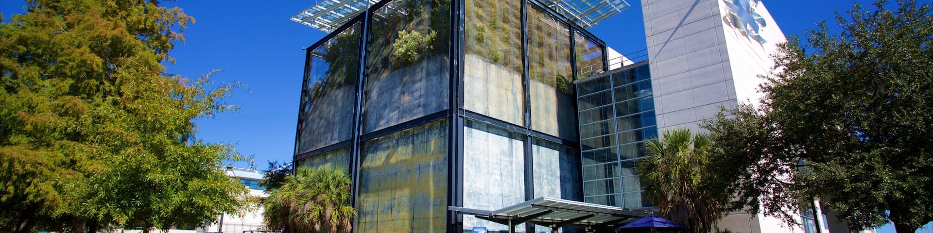 Un edificio moderno de vidrio con un diseño geométrico único, rodeado de árboles y un empedrado.