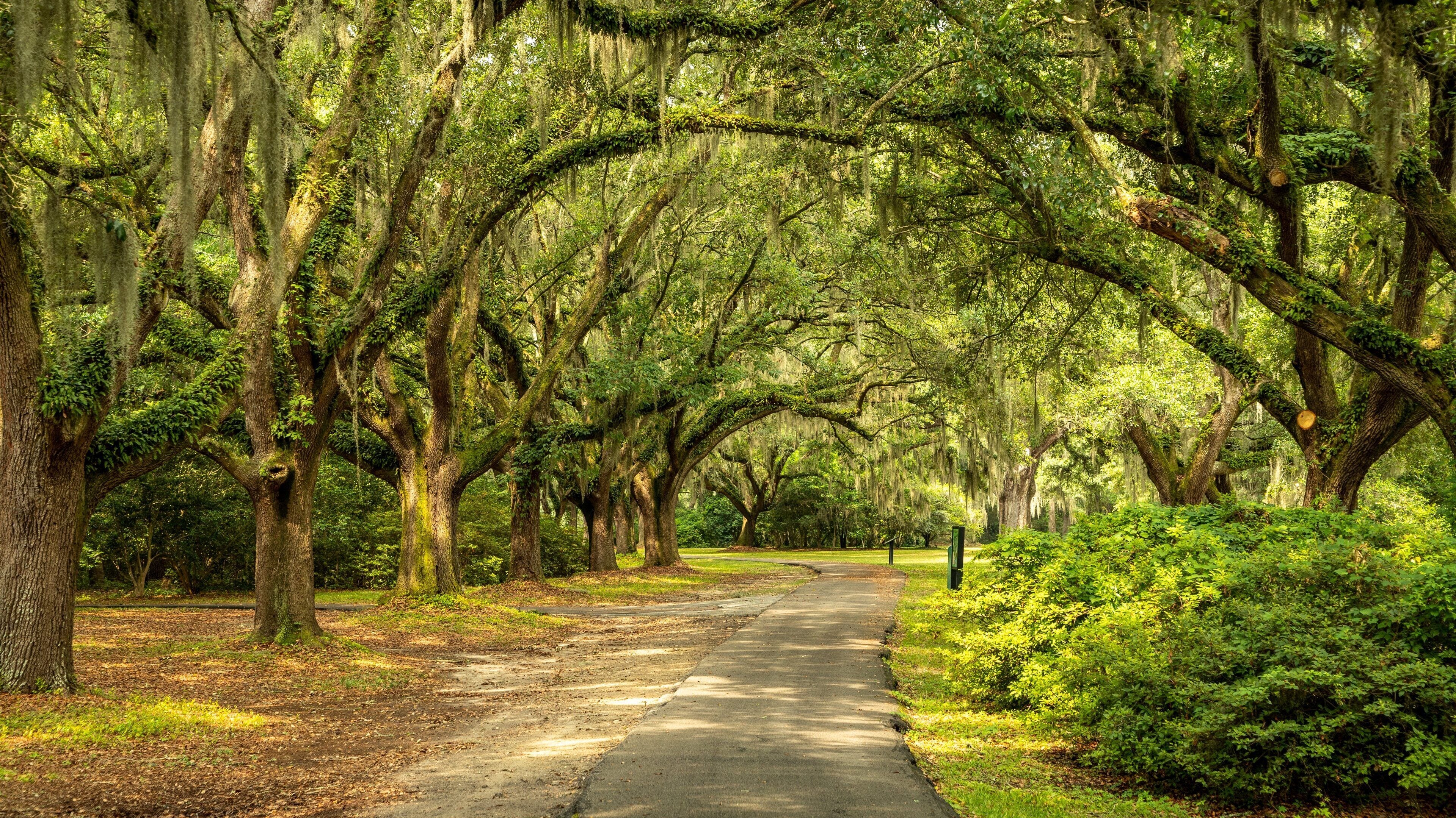 Charles Towne Landing State Historic Site which includes a park