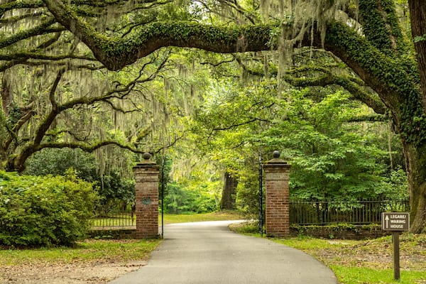 Charles Towne Landing State Historic Site showing a garden