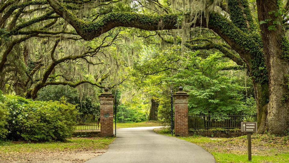Charles Towne Landing State Historic Site showing a garden
