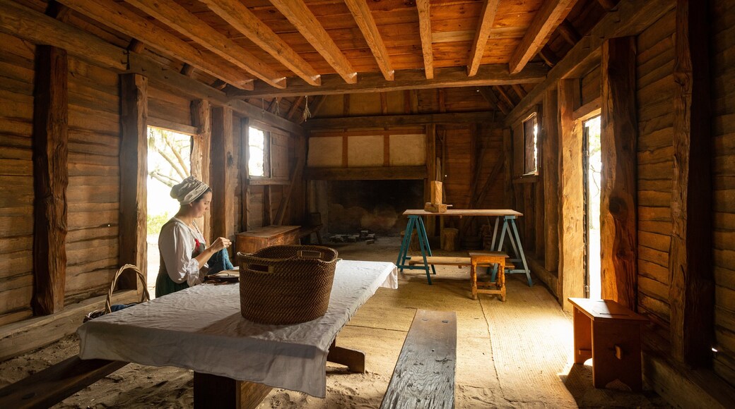 Charles Towne Landing State Historic Site showing heritage elements, interior views and a house
