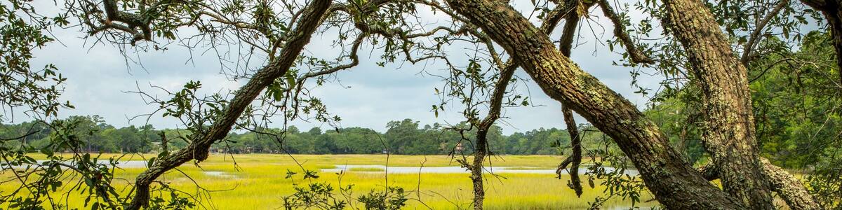 Charles Towne Landing State Historic Site showing wetlands