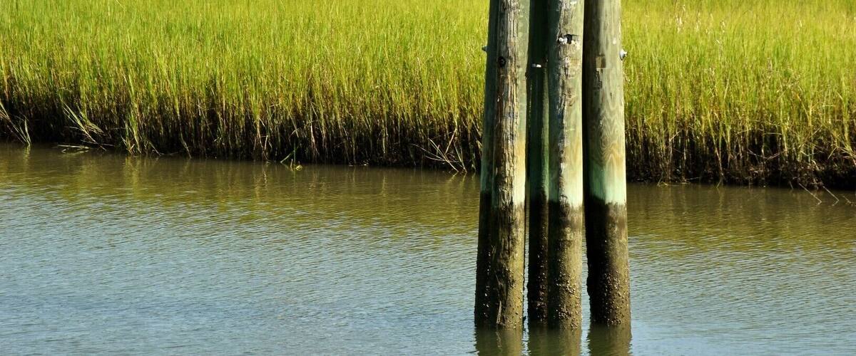 Patriots Point Naval & Maritime Museum is located in Mount Pleasant, South Carolina, at the mouth of the Cooper River on the Charleston Harbor, across from Charleston.
It is home to three museum ships, USS Yorktown, USS Laffey and USS Clamagore (which is a submarine) Patriots Point celebrated their 10 millionth visitor in February 2017.