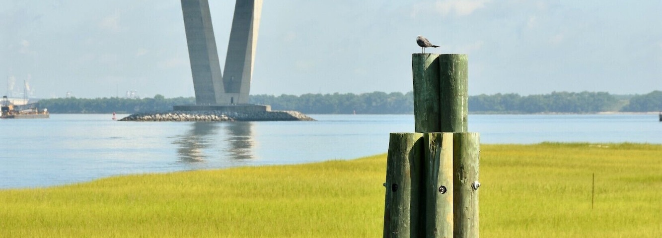 Patriots Point Naval & Maritime Museum is located in Mount Pleasant, South Carolina, at the mouth of the Cooper River on the Charleston Harbor, across from Charleston.
It is home to three museum ships, USS Yorktown, USS Laffey and USS Clamagore (which is a submarine) Patriots Point celebrated their 10 millionth visitor in February 2017.